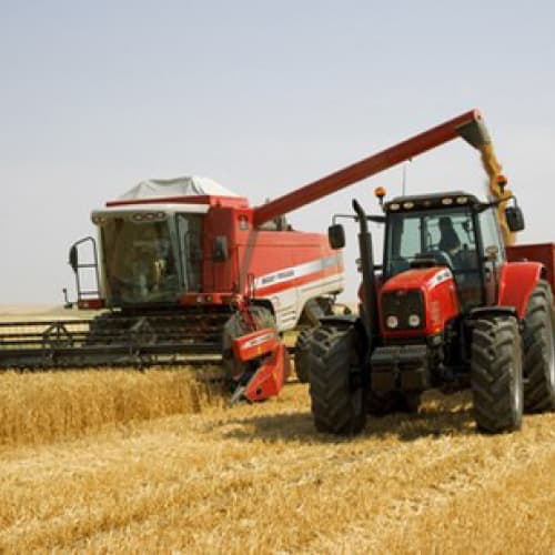 Agricoltura: la regione di Vinnytsia raggiunge la resa più alta