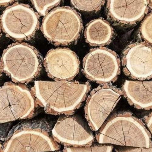 Експорт деревини цього року може бути відновлено Україною