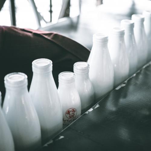 Ripresa del settore lattiero-caseario