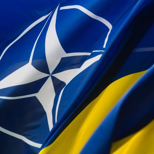L'Ucraina aderisce al MIP della NATO