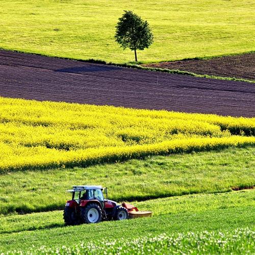 L’Ucraina tra i primi 5 esportatori agricoli mondiali