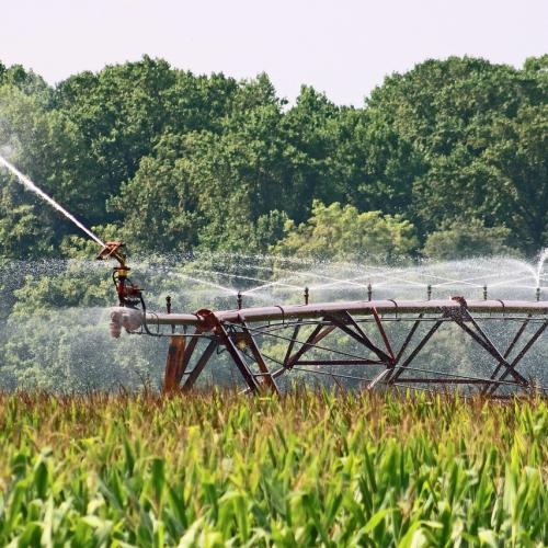 70 milioni di UAH in progetti pilota per l’irrigazione in Ucraina